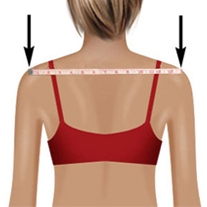 shoulder